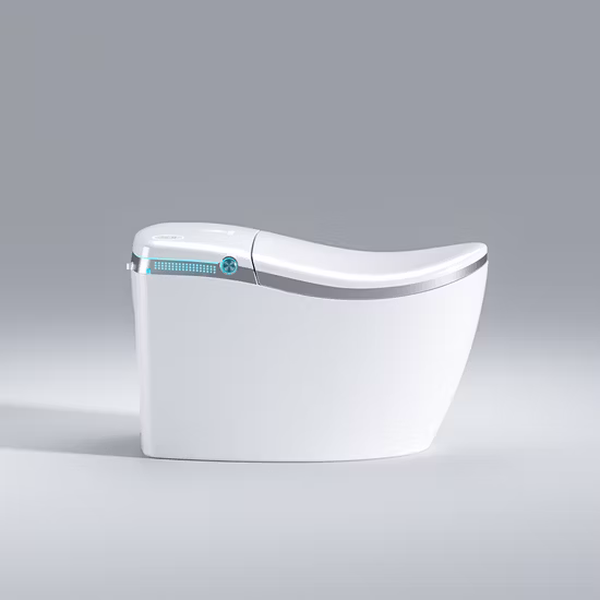 욕실 세라믹 디자인, 지능형 화장실, 지능형 화장실