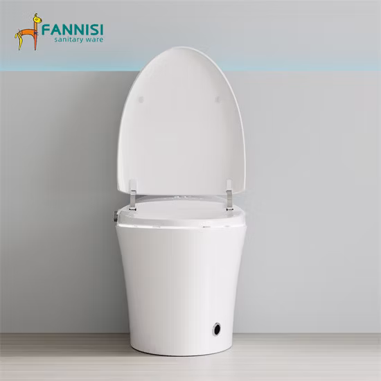 방수 리모콘을 갖춘 현대적인 스마트 세라믹 욕실 변기