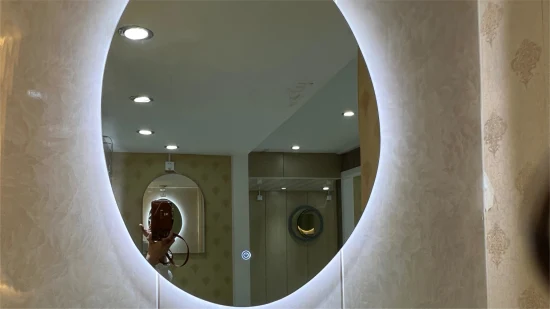 공장 가격 불규칙한 모양 장식 알루미늄 거울 유리 욕실 화장 거울